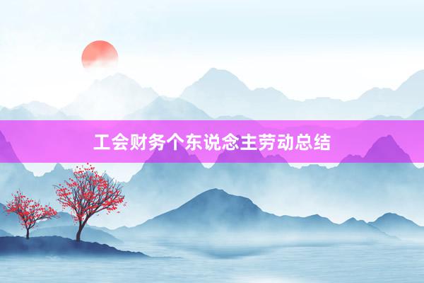 工会财务个东说念主劳动总结
