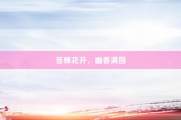 苦楝花开，幽香满园